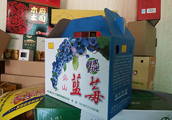速邇綠色環保紙箱是包裝行業的一個新趨勢